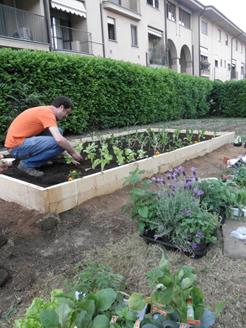 http://blog.atcasa.corriere.it/community-garden/files/2011/05/orto-cascina-bianca.jpg